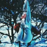 "Devlin Waugh: Como um Exorcista Gay e Vampiro Conquistou os Quadrinhos Britânicos e a Cultura Pop"