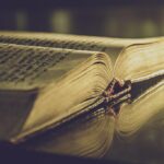 "Literatura Queer em 2025: Novidades Que Prometem Transformar o Cenário Literário e Explorar Identidades"