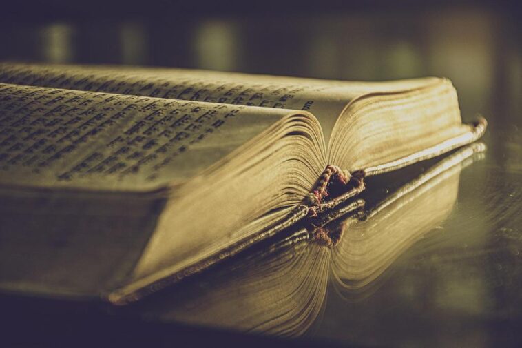 "Literatura Queer em 2025: Novidades Que Prometem Transformar o Cenário Literário e Explorar Identidades"