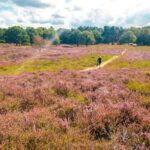 "Hampstead Heath: O Conflito Entre Caminhantes de Cães e Ativistas LGBTQ+ Que Divide Opiniões em Londres"