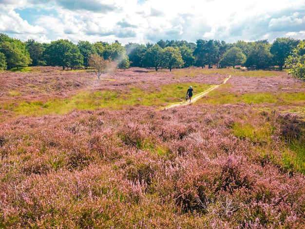 "Hampstead Heath: O Conflito Entre Caminhantes de Cães e Ativistas LGBTQ+ Que Divide Opiniões em Londres"