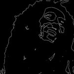 "Rei Charles III Revela Playlist Pessoal em Programa de Rádio: O Que Suas Escolhas Musicais Dizem Sobre a Conexão Cultural na Commonwealth?"