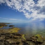 "Como a Grande Cabalgata Olímpica de Carnaval em Las Palmas de Gran Canaria Se Tornou um Marco de Inclusão e Criatividade em 2025"