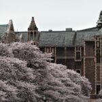 "Como a Universidade Estadual de Washington Está Transformando o Apoio à Comunidade LGBTQ+ Através de Iniciativas Inovadoras"