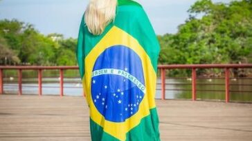 "Liberdade de Expressão em Xeque: O Caso da Cabeça de Pichação que Agitou o STF"