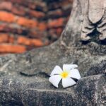 "Como a Relação Entre os Irmãos Ratliff em 'The White Lotus' Está Redefinindo a Representação LGBTQ+ na Televisão?"