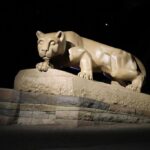 "Ranking das Músicas de Entrada do Time de Softball da Penn State: Quais Faixas Prometem Agitar o Nittany Lion Softball Park em 2025?" 12 "Ranking das Músicas de Entrada do Time de Softball da Penn State: Quais Faixas Prometem Agitar o Nittany Lion Softball Park em 2025?"