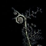 "Como Londres Está Transformando a Música Clássica: Uma Análise dos Eventos que Misturam Tradição e Modernidade"