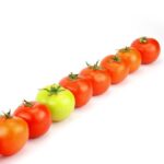 "Girl in Red no Lollapalooza 2025: Como a Performance da Cantora Norueguesa Reflete o Compromisso com a Diversidade e Inclusão"