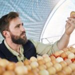 "De vendedor de picolés a magnata dos ovos: a trajetória surpreendente de Ricardo Castella Faria"