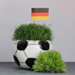 "Exposição na Biblioteca de Batatais Revela Histórias Ocultas em Objetos Encontrados entre Livros"