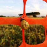 "Transformações na Televisão Colombiana: Como RCN Busca Reconquistar Telespectadores Através da Diversidade e Inclusão" 13 "Transformações na Televisão Colombiana: Como RCN Busca Reconquistar Telespectadores Através da Diversidade e Inclusão"