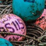 "Inclusão no Esporte: Como a Comunidade LGBT Está Transformando Atividades Competitivas em Espaços Seguros"