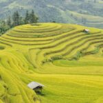 "Incidente com Congressista Susel Paredes Revela Desafios da Comunidade LGBT+ no Discurso Público e na Mídia"