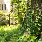 "Como a Universidade de Indiana Está Transformando o Apoio à Comunidade LGBTQ+ com Iniciativas Inovadoras e Inclusivas" 12 "Como a Universidade de Indiana Está Transformando o Apoio à Comunidade LGBTQ+ com Iniciativas Inovadoras e Inclusivas"