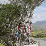 "Bekat'uros: A Marcha da Diversidade que Transforma Tardets em um Ponto de Reflexão e Inclusão"
