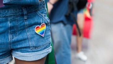 "Hungria aprova emendas constitucionais que restringem direitos LGBT e proíbem desfiles do Pride: o que isso significa para o futuro da liberdade de expressão no país?"