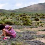 Cantora usa sua voz para apoiar povos indígenas e conscientizar sobre impactos ambientais no Brasil