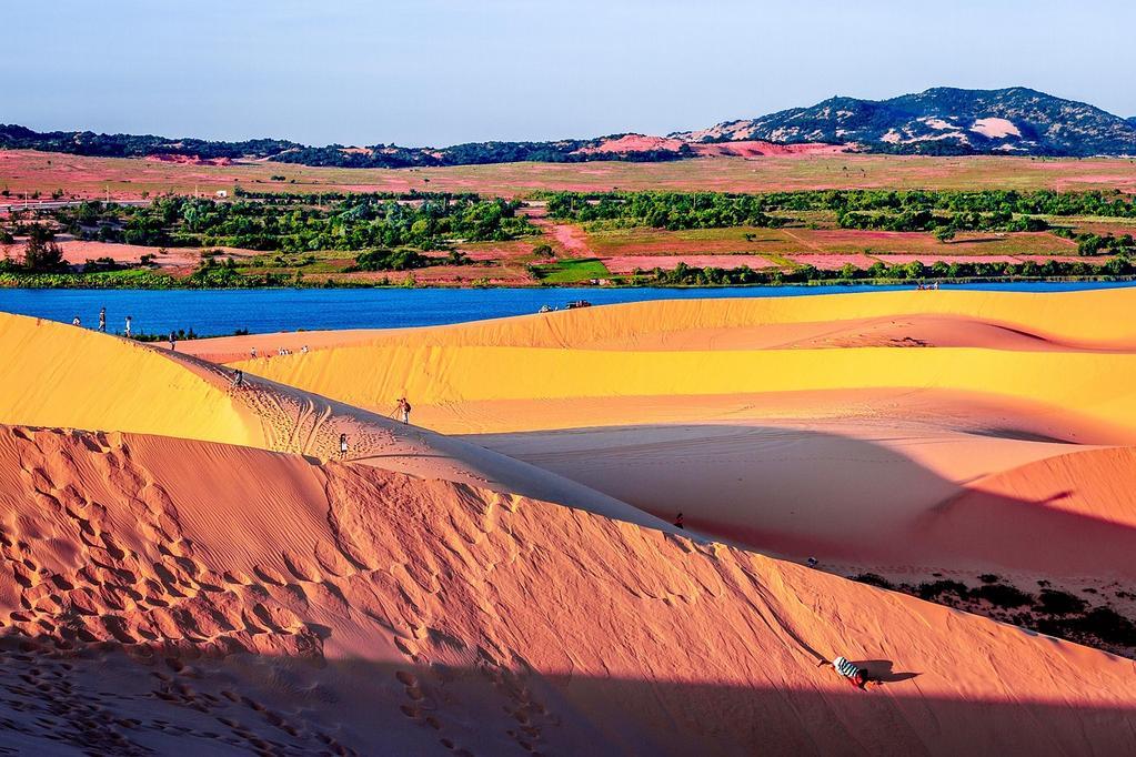 Evento imperdível une cinema queer, performances drag e a icônica aventura pelo deserto australiano