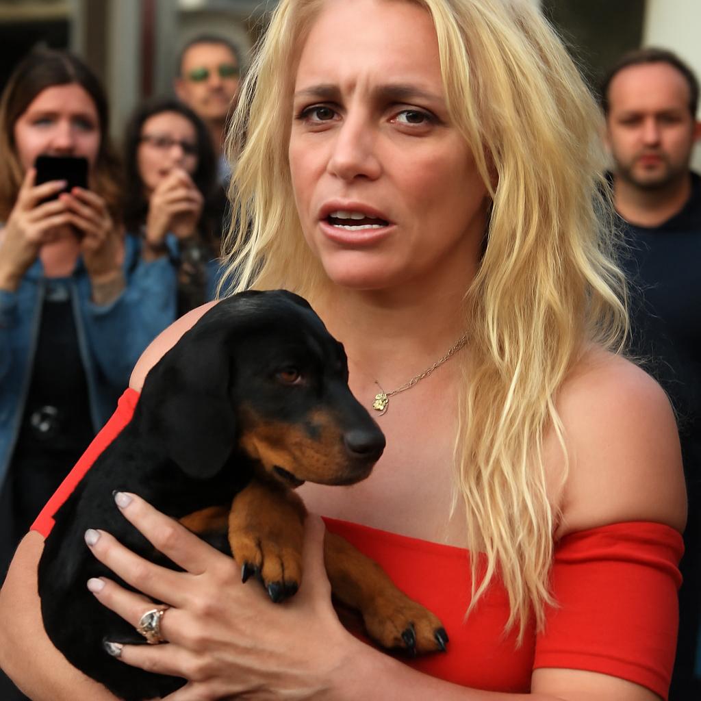 Cantora brinca nas redes sociais e confunde fãs ao dizer que adotou uma menina