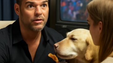 Histórias falsas que marcaram a televisão espanhola e continuam a fascinar o público LGBTQIA+