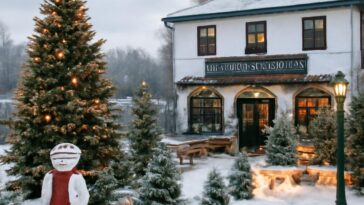 Espaço acolhedor e cheio de charme celebra o Natal com eventos para todas as idades, incluindo Drag Queen Bingo e encontro com Frozen