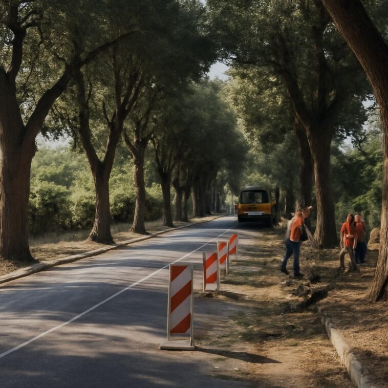 Trabalhos de mais de 300 mil euros visam garantir mobilidade e saúde na movimentada via de San Salvo
