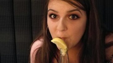 Apresentadora compartilha momento afetuoso com animais que têm nomes de famosos em Itaboraí, RJ