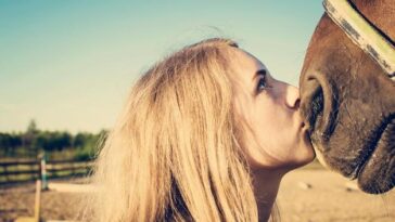 Apresentadora protagoniza momento carinhoso com sua vaca Anitta e revela conexão afetiva com os animais do seu sítio