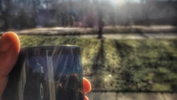 Após vazamento, artista catalã mantém lançamento oficial do álbum marcado para 7 de novembro