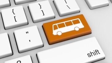 Festival em São Cristóvão reúne grandes nomes da música brasileira com transporte gratuito para o público