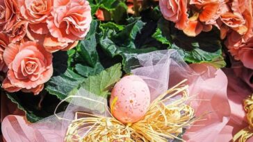 Atrizes trocam declarações carinhosas e fortalecem representatividade LGBTQIA+ em Hollywood