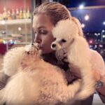 Darren Meah-Moore, conhecido como Crystal Couture, foi encontrado morto em Cardiff após episódio chocante envolvendo seu cão