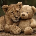 História de superação de Punch emociona e inspira cuidado e afeto aos animais