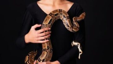 Ícone pop posa com body preto e arnês de couro, celebrando sua história e sua família