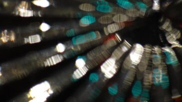 Cantora arrasa com vestido transparente e maquiagem marcante em produção cheia de texturas